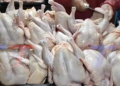 POLLO SE VENDE A BS 25 EL KILO EN TARIJA TRAS HABER LLEGADO HASTA BS 30. COMERCIANTES SEÑALAN QUE AÚN NO SE SABE SI EL PRECIO SEGUIRÁ BAJANDO O VOLVERÁ A SUBIR.