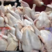 POLLO SE VENDE A BS 25 EL KILO EN TARIJA TRAS HABER LLEGADO HASTA BS 30. COMERCIANTES SEÑALAN QUE AÚN NO SE SABE SI EL PRECIO SEGUIRÁ BAJANDO O VOLVERÁ A SUBIR.