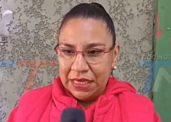 ACTIVISTAS PIDEN UN ALBERGUE TRANSITORIO PARA BRINDAR REFUGIO A PERRITAS EN GESTACIÓN, ESTERILIZARLAS Y FACILITAR LA ADOPCIÓN DE SUS CRÍAS.