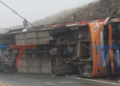 SEGIP CONFIRMA QUE CONDUCTOR DE LA FLOTA PADCAYA TENÍA LICENCIA C VIGENTE