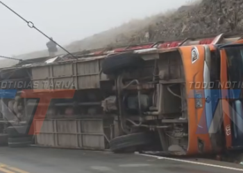 SEGIP CONFIRMA QUE CONDUCTOR DE LA FLOTA PADCAYA TENÍA LICENCIA C VIGENTE