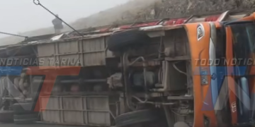 SEGIP CONFIRMA QUE CONDUCTOR DE LA FLOTA PADCAYA TENÍA LICENCIA C VIGENTE