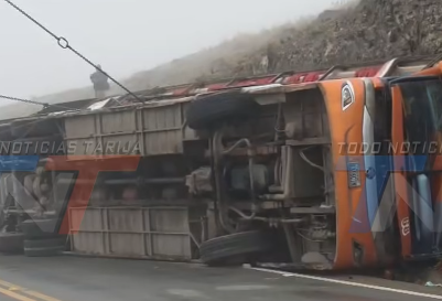 SEGIP CONFIRMA QUE CONDUCTOR DE LA FLOTA PADCAYA TENÍA LICENCIA C VIGENTE