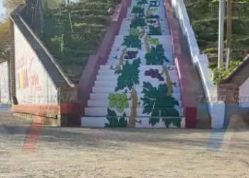 MEJORAN LA IMAGEN DEL MIRADOR DE LA COPA CON DISEÑOS DE UVAS Y HOJAS DE PARRA