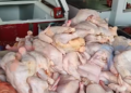 POLLO SE COMERCIALIZA A BS 16 EL KILO EN EL MERCADO CAMPESINO