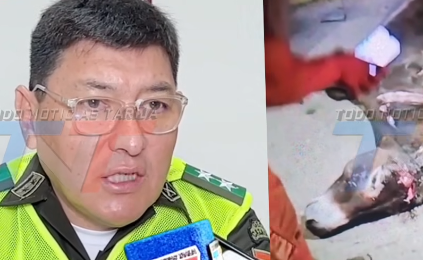 BURRO EN LA CARRETERA HABRÍA PROVOCADO UN ACCIDENTE FATAL EN LA RUTA BERMEJO-TARIJA