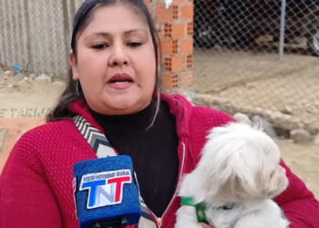 VECINA DENUNCIA QUE UN PERRO PITBULL ATACÓ A SU MASCOTA Y EXIGE MAYOR CONTROL Y SEGURIDAD PARA LOS ANIMALES