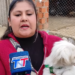 VECINA DENUNCIA QUE UN PERRO PITBULL ATACÓ A SU MASCOTA Y EXIGE MAYOR CONTROL Y SEGURIDAD PARA LOS ANIMALES