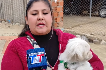 VECINA DENUNCIA QUE UN PERRO PITBULL ATACÓ A SU MASCOTA Y EXIGE MAYOR CONTROL Y SEGURIDAD PARA LOS ANIMALES